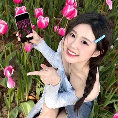 丹心谱
